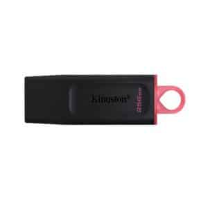 USB KINGSTON 256GB DataTraveler Exodia DTX