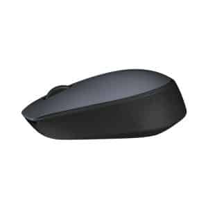 Logitech M171